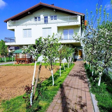 דירות סראייבו Apartman Peace מראה חיצוני תמונה